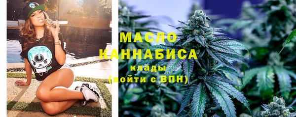 гидра Михайловск