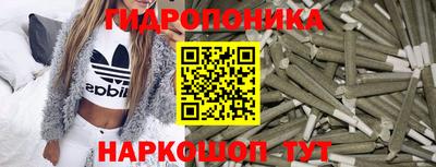 a pvp Аргун
