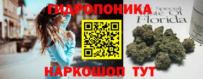 a pvp Аргун