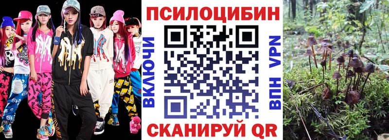 Галлюциногенные грибы Psilocybe Лыткарино
