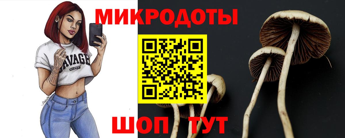 ГАШ Лыткарино